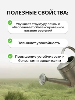 Удобрение Осень 1 кг буйхим