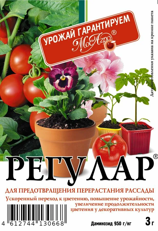 Регулар 3г от перерастания