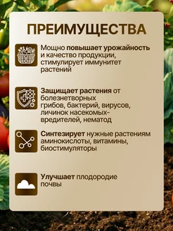 Удобрение 33 богатыря 1 л