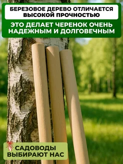 Черенок д/лопат d 40 дл. 120 см в.с.