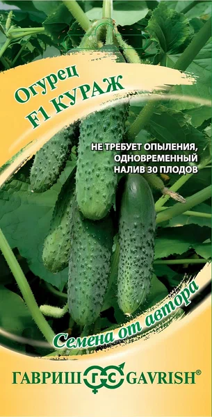 Огурец кураж гавриш