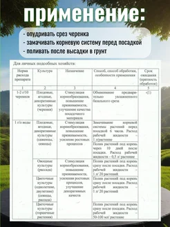 Корней 10 гр
