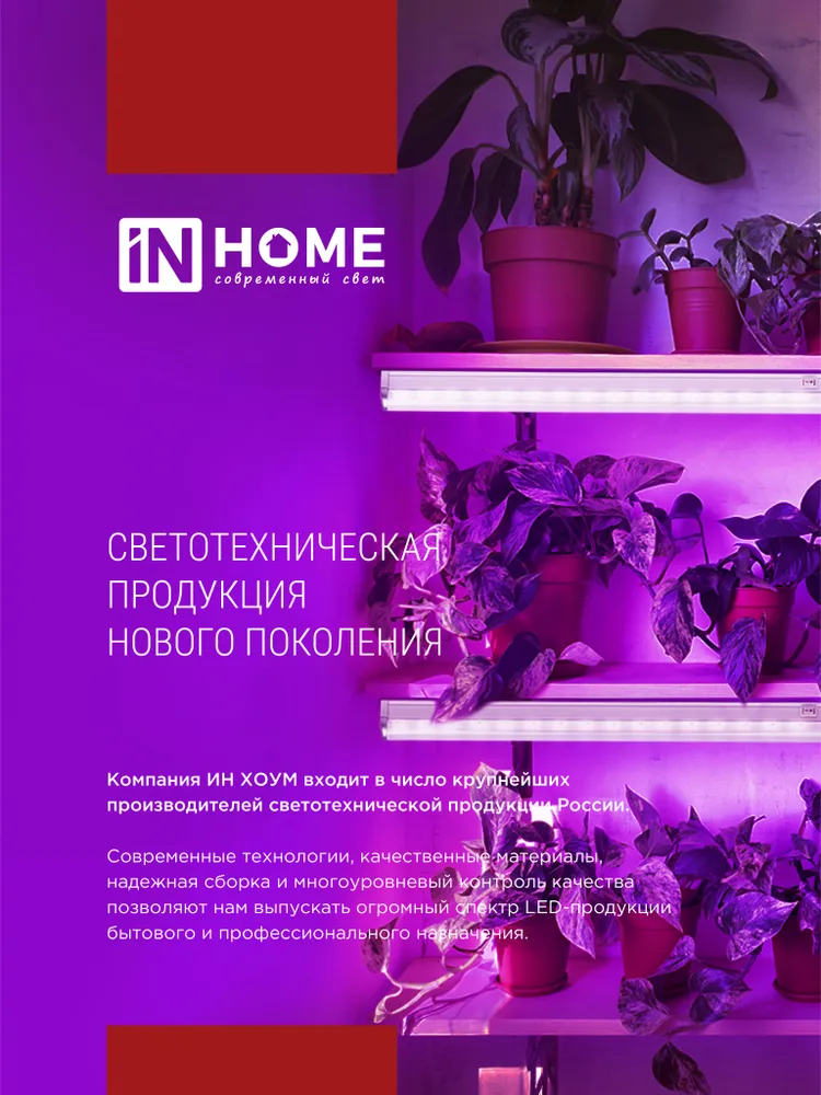 Фито-Лампа 60*65*25 4363