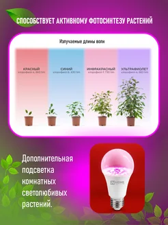 Фито-Лампа Е-27 15W красн-син LED-A60-FITO