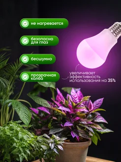 Фито-Лампа Е-27 25W красн-син ЛОН А65 FITO