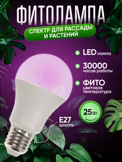 Фито-Лампа Е-27 25W красн-син ЛОН А65 FITO