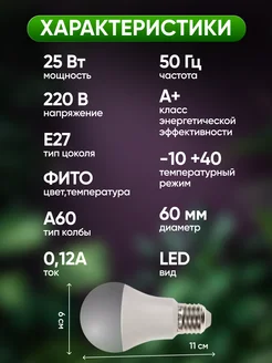 Фито-Лампа Е-27 25W красн-син ЛОН А65 FITO