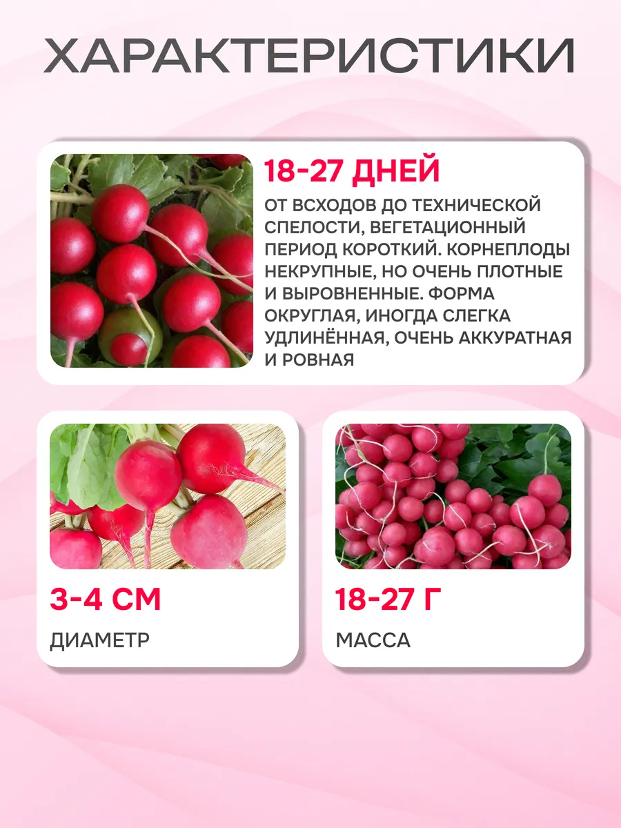 Редис жара