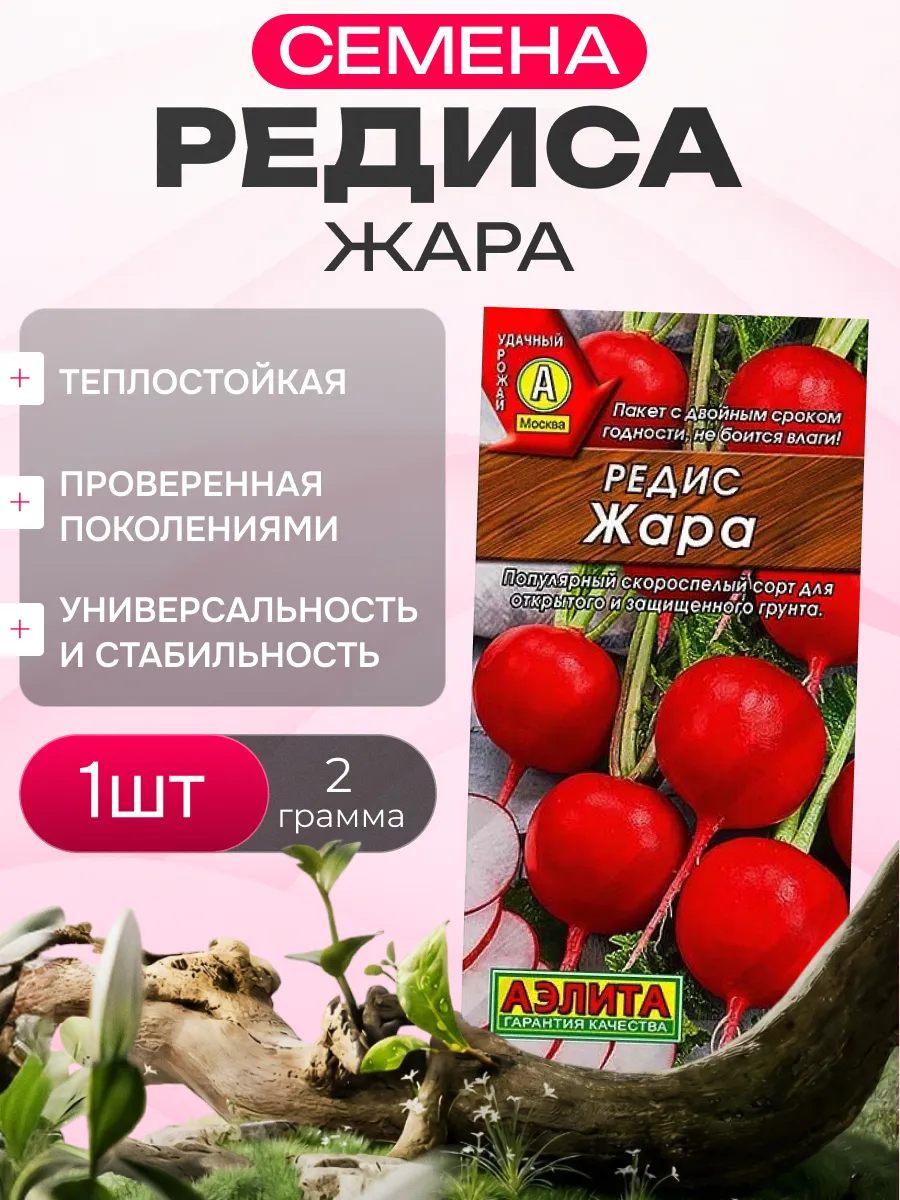 Редис жара