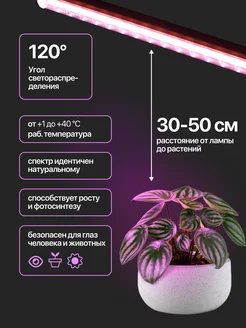Фито-Лампа General 14w 475604