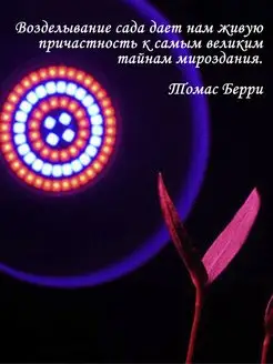 Фито-Лампа Е-27 9W красн-син LED-A60
