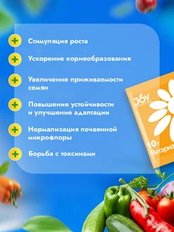 Янтарная кислота 10 мл