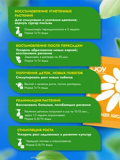 Янтарная кислота 10 мл