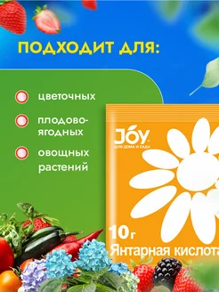 Янтарная кислота 10 мл