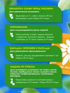 Янтарная кислота 10 мл