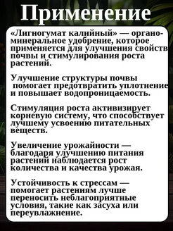 Лигногумат калийный 10 мл
