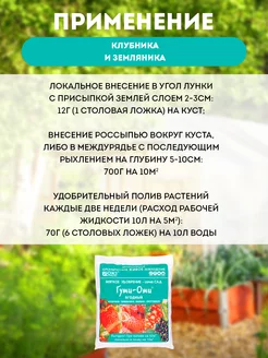 Гуми -ОМИ 700 гр д/клубники
