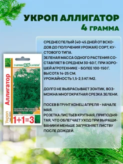 Укроп аллигатор