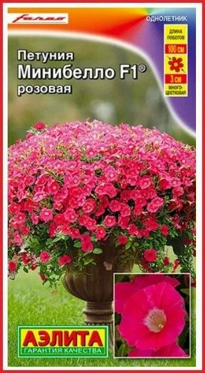 Петуния минибелло розовая