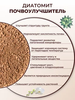 Диатомит 2 л