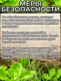Великий  воин  50 г.