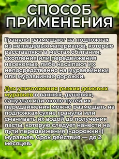 Великий  воин  50 г.