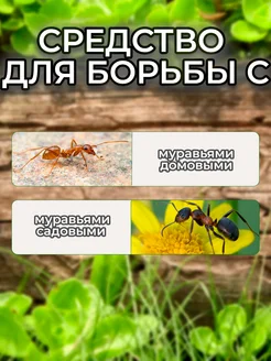 Великий  воин  50 г.